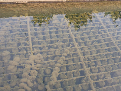 ʳƷ�ӹ��Uˮ̎��