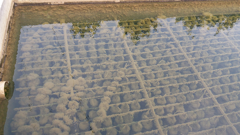 ʳƷ�ӹ��Uˮ̎��